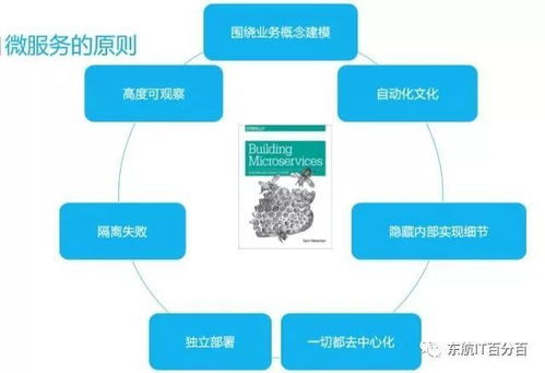 互聯(lián)網(wǎng)時代的SOA與微服務(wù) 演進與信息服務(wù)革新